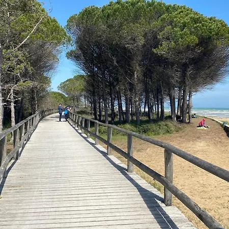 Two-level Flat With Shared Pool * Bibione